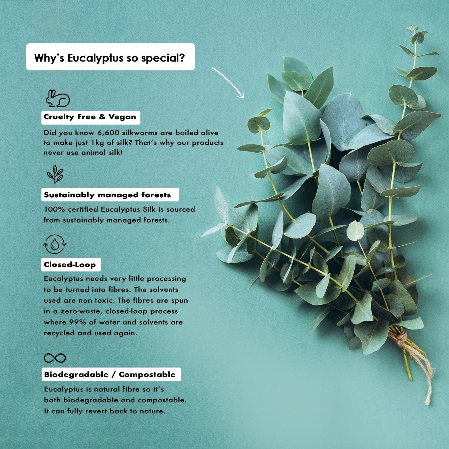 Peachy - Heatless Curlers Headband (Minx)